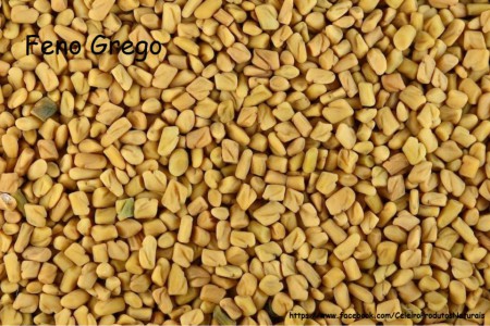 FENO GREGO - A cada 100 gramas R$ 2,80