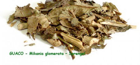 GUACO - A cada 100 gramas R$ 3,19